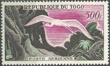 Great Egret (Casmerodius albus)