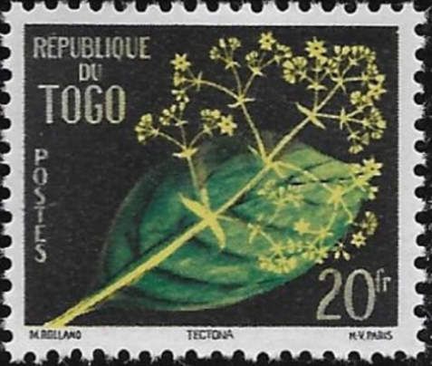 Tectona grandis