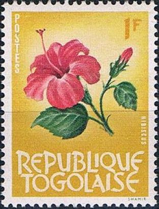Hibiscus