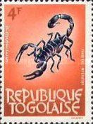 Emperor Scorpion (Pandinus imperator)
