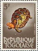 Forest Hinge-back Tortoise (Kinixys erosa)
