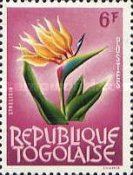Bird-of-Paradise Flower (Strelitzia reginae)