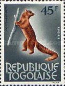 African Palm Civet (Nandinia binotata)