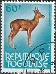Bohor Reedbuck (Redunca redunca)