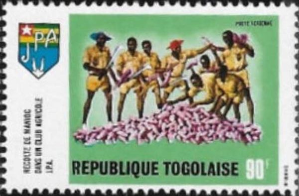 Manioc