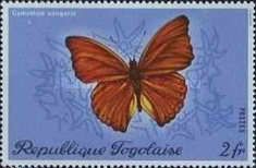 Blood-red Glider (Cymothoe sangaris)