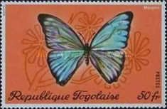 Giant Blue Morpho (Morpho didius)