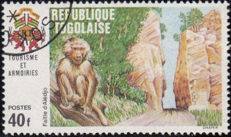 Hollow way at Aledjo, Baboon (Papio sp.)
