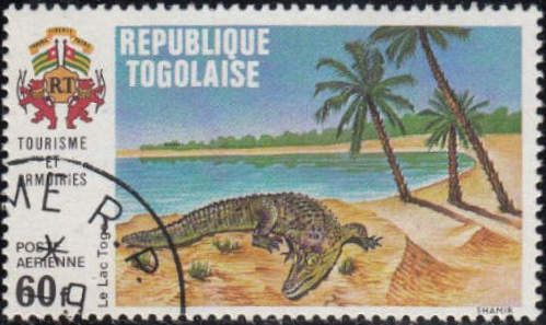 Togo Lake, Crocodile (Crocodylus sp.)