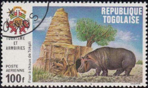 Lime Oven of Tokplé, Hippopotamus (Hippopotamus amphibius)
