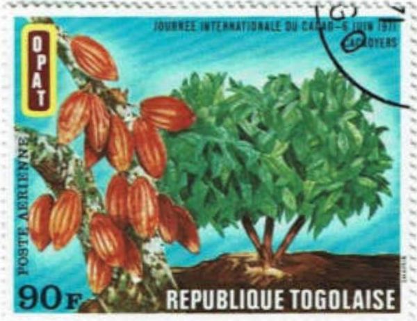 Cacao