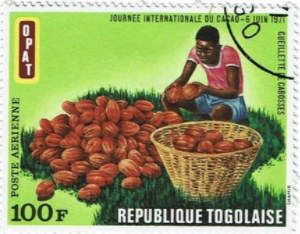 Cacao Picking