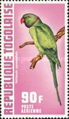 Alexandrine Parakeet (psittacula cyanocephala)