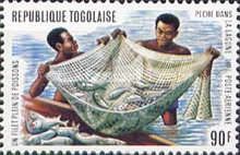 Fishermen bringing in net with catch