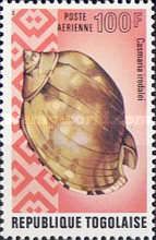 Sea Snail (Casmaria iredalei)