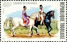 Trotting Horses