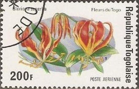 Gloriosa superba