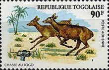 Running deer and Trap