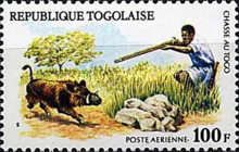 Wild boar hunter with shotgun