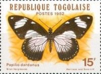 African Swallowtail (Papilio dardanus tibullus), Female