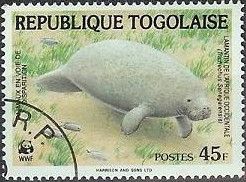 African Manatee (Trichechus senegalensis)