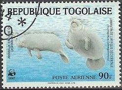 African Manatee (Trichechus senegalensis)