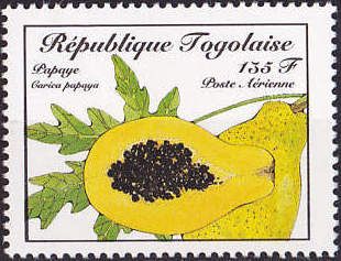 Papaya (Carica papaya)