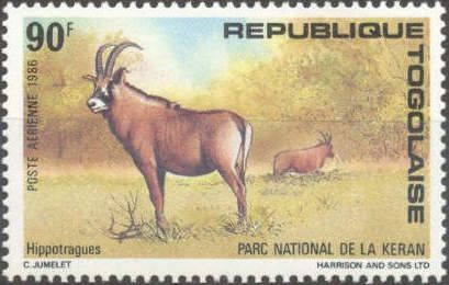 Roan Antelope (Hippotragus equinus)