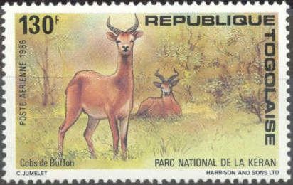 Waterbuck