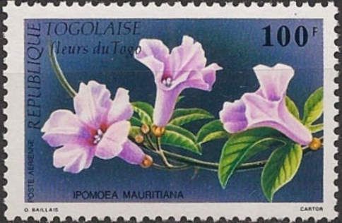 Ipomoea mauritania