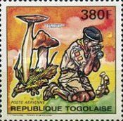 Termitomyces striatus
