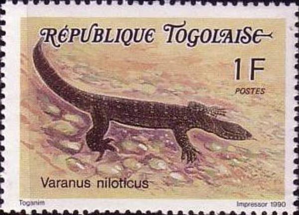 Varanus niloticus