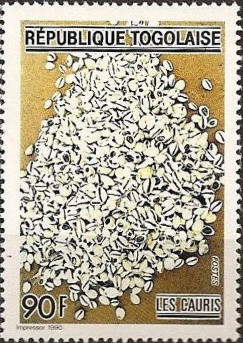 Cowrie (Cypraea sp.)