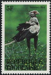 Secretarybird (Sagittarius serpentarius)