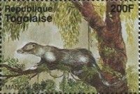 Mongoose
