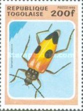 Long-horned Beetle (Semanotus russicus)