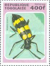 Blister Beetle (Mylabris variabilis)