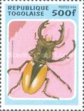 Golden Stag Beetle (Odontolabis cuvera)