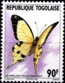 African Swallowtail (Papilio dardanus)