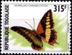 Western Red Charaxes (Charaxes cynthia)