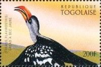 Toucan