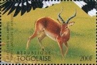 Impala