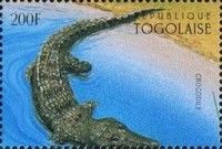 Crocodile