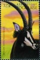 Antelope (Hippotragus Niger)