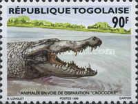 Crocodile