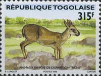 Deer