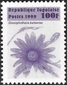 Dimorphotheca barberiae