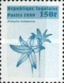 Amaryllis belladonna