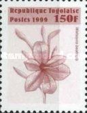 Watsonia beatricis