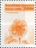 Thunbergia alata